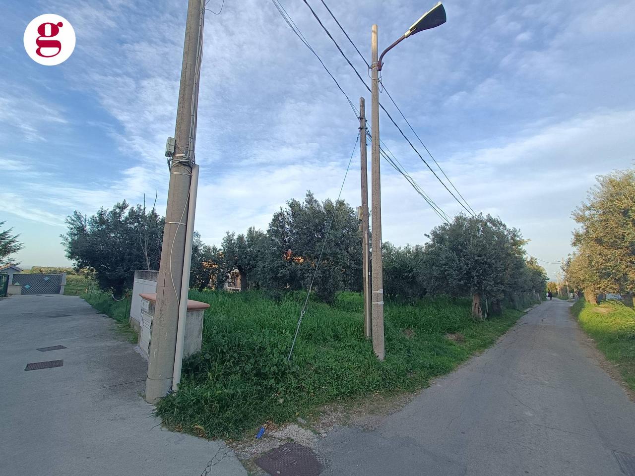 immagine annuncio 6 di 8