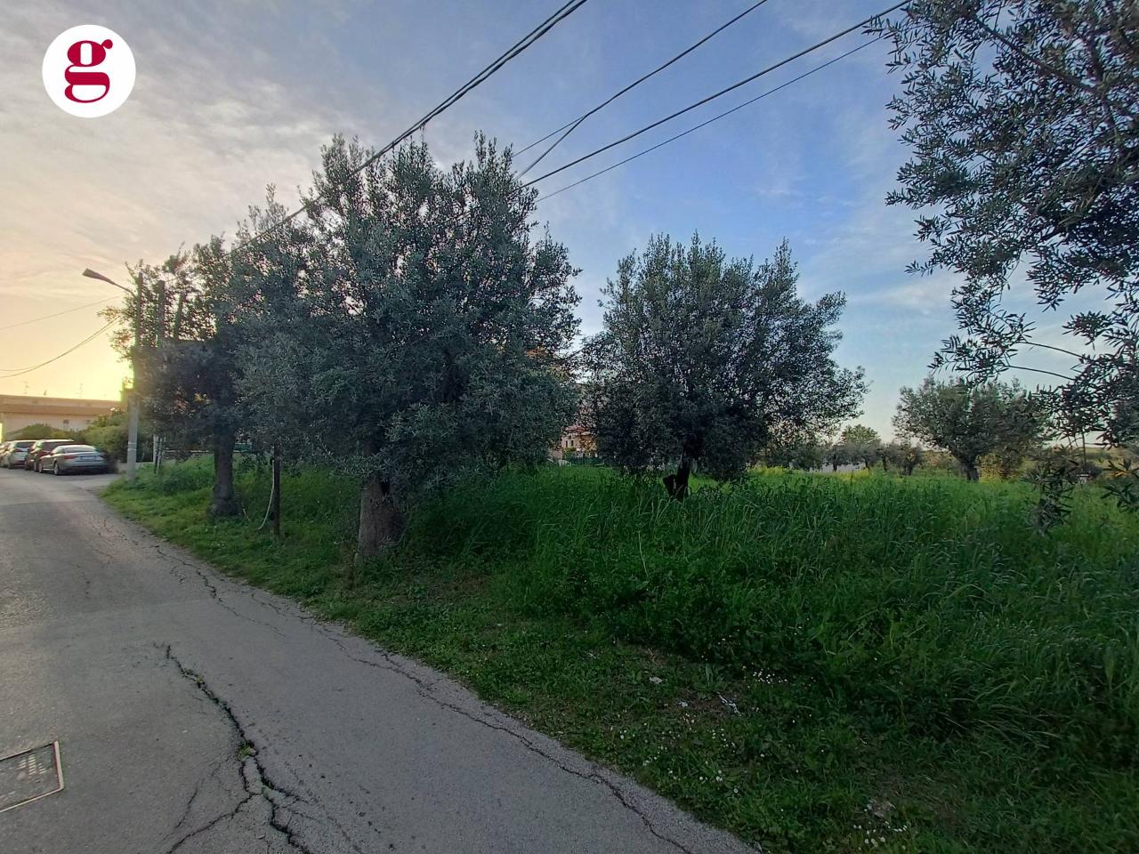 immagine annuncio 5 di 8