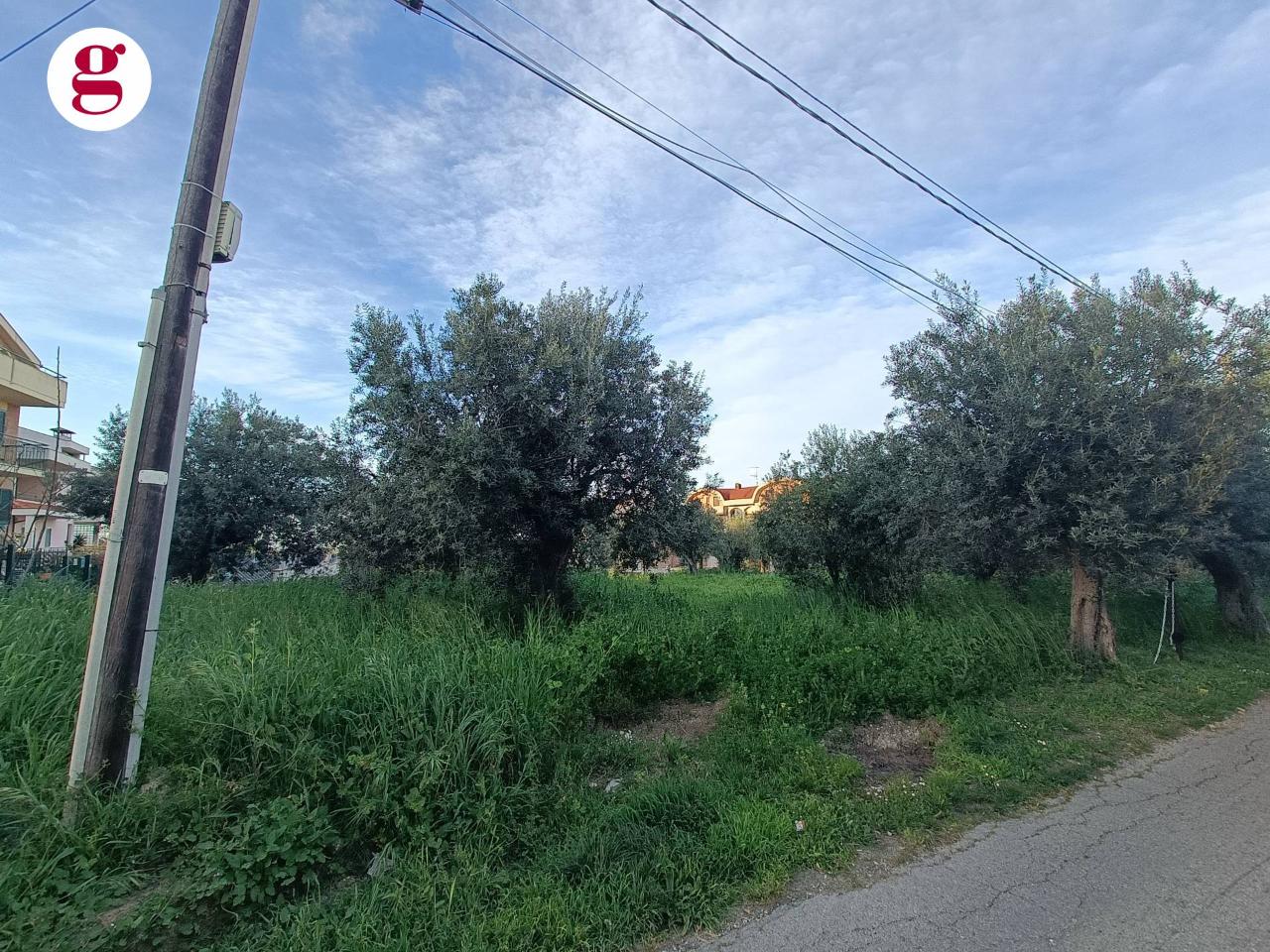 immagine annuncio 3 di 8