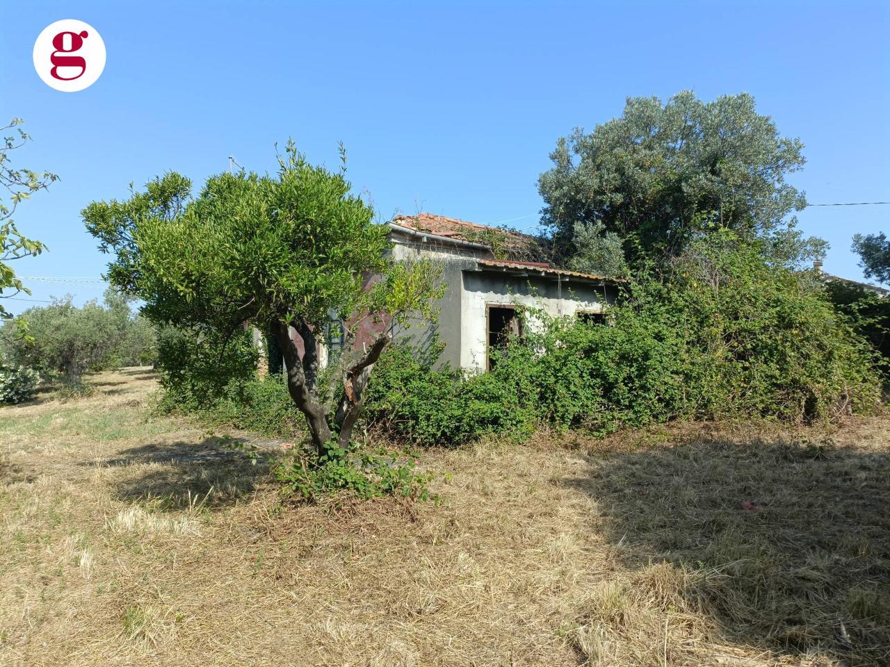 immagine annuncio 5 di 11