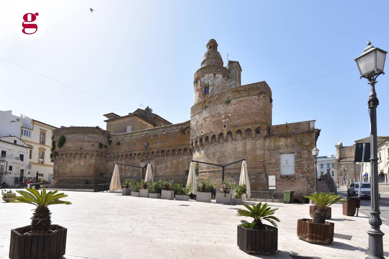 immagine annuncio 5 di 15