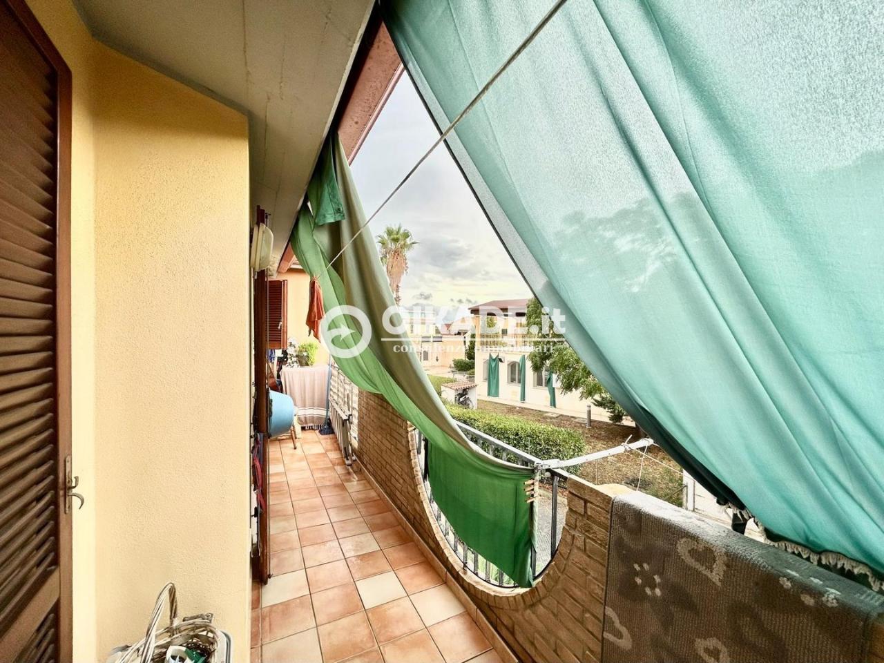 immagine annuncio 11 di 14