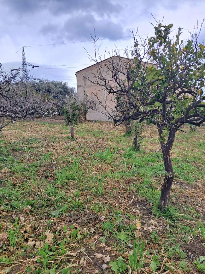 immagine annuncio 11 di 14
