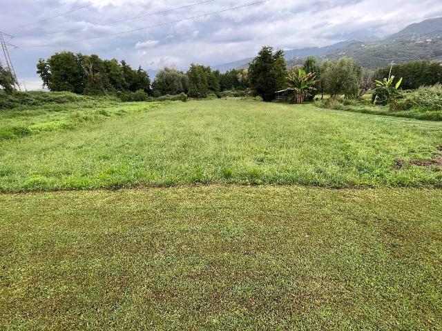 Agricultural land in Via Nespolo,  43, Montignoso - Photo 1