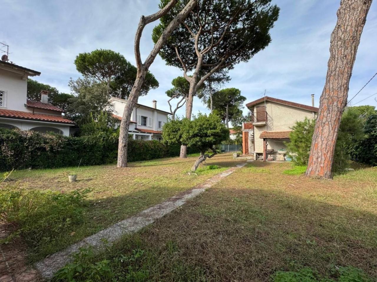 immagine annuncio 5 di 9