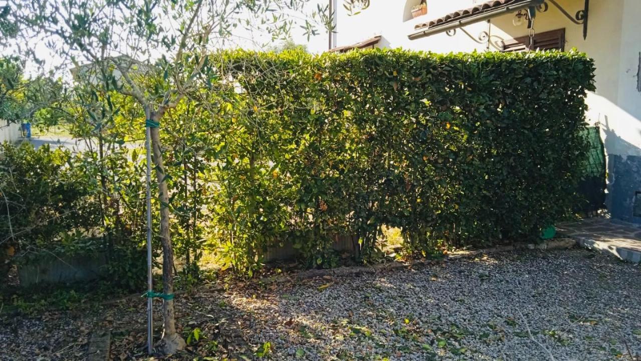 immagine annuncio 11 di 14
