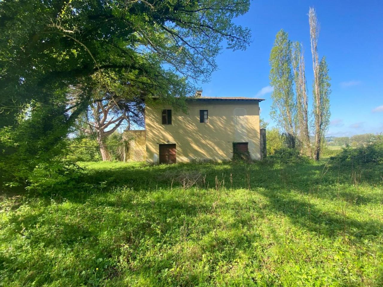 immagine annuncio 11 di 14