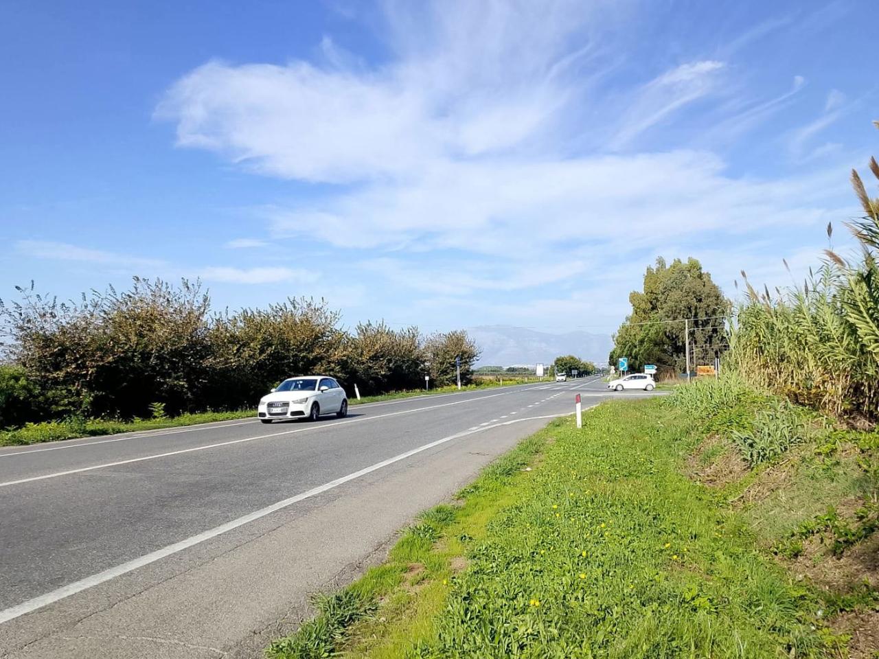 immagine annuncio 5 di 13