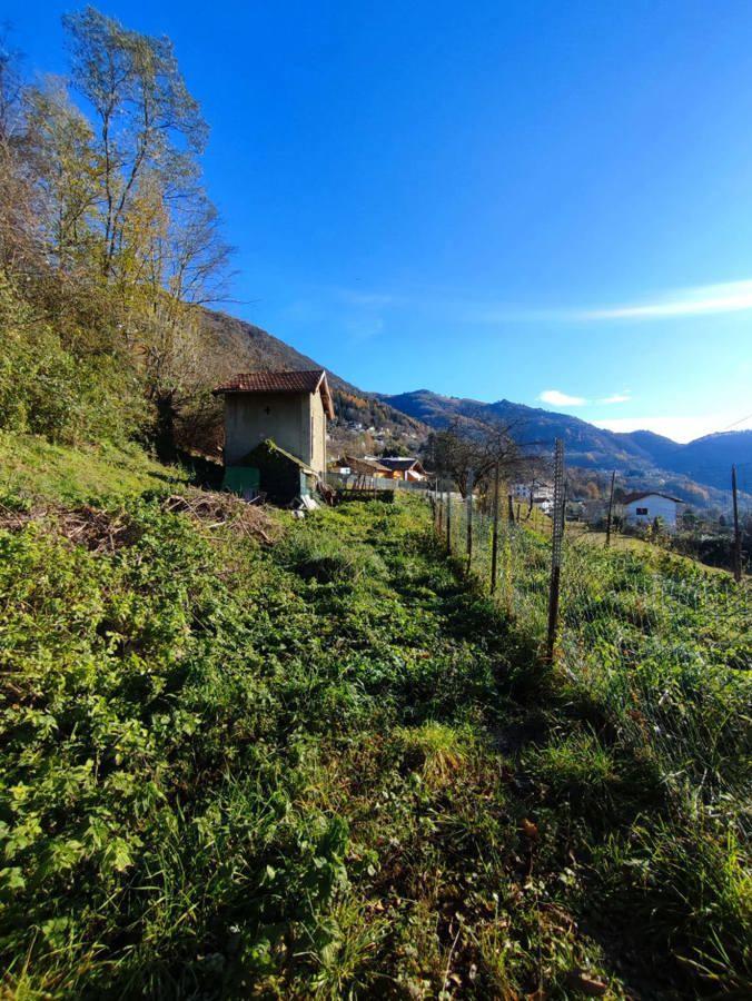 immagine annuncio 4 di 11