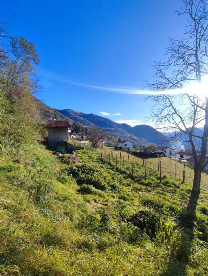 immagine annuncio 5 di 11