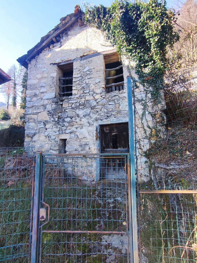 immagine annuncio 2 di 12