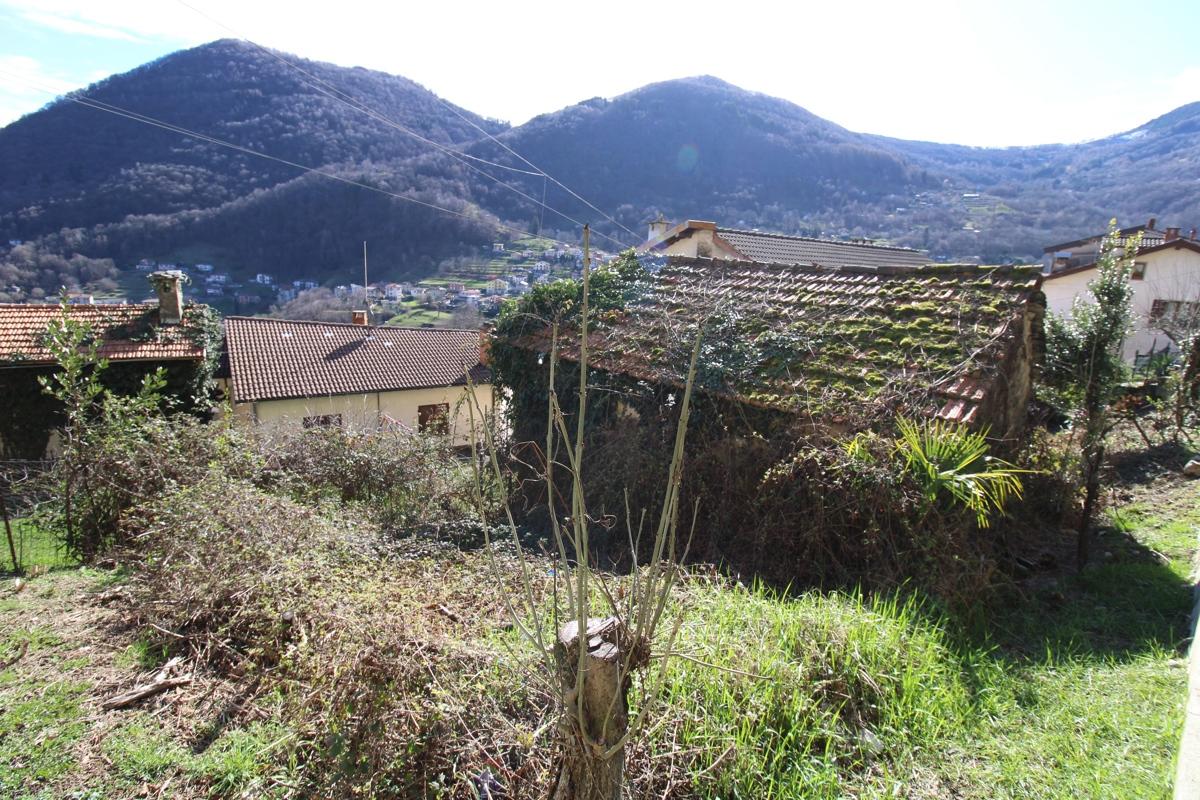 immagine annuncio 5 di 12