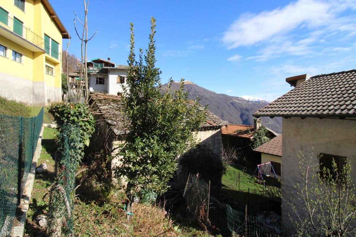 immagine annuncio 1 di 12
