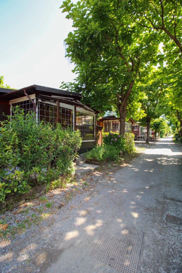 immagine annuncio 2 di 13