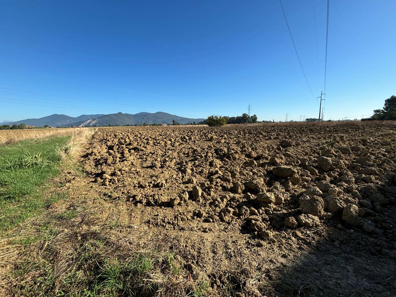 immagine annuncio 4 di 6