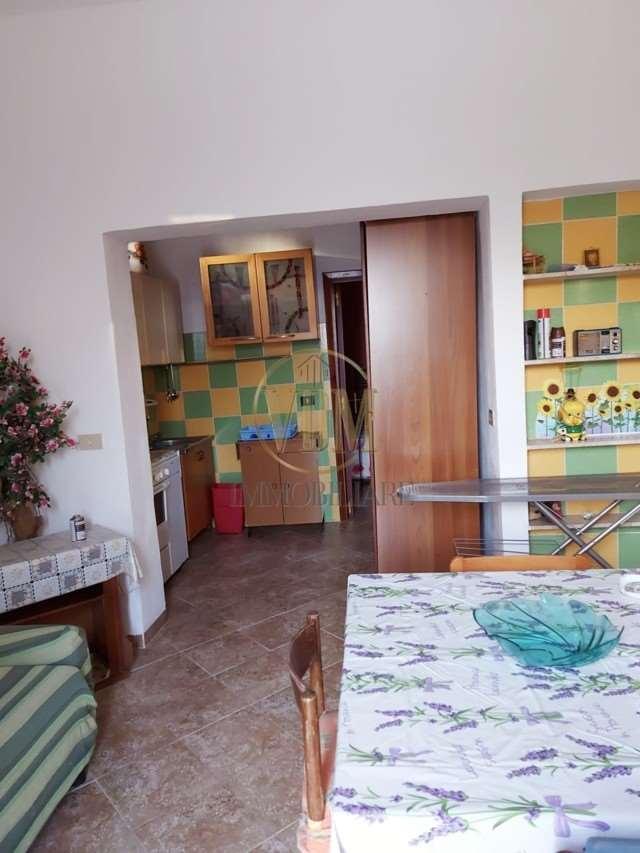 immagine annuncio 13 di 14