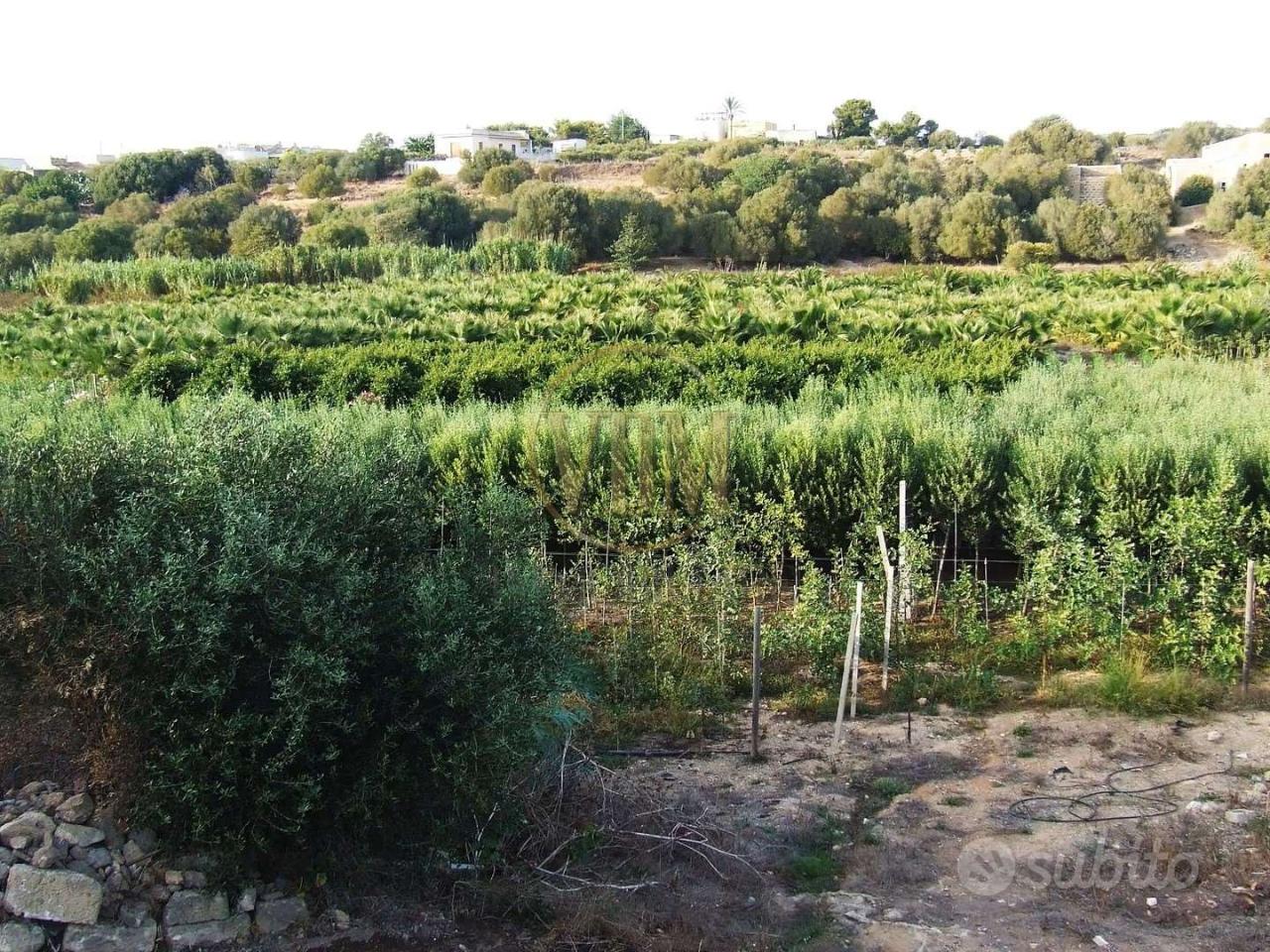 immagine annuncio 4 di 6