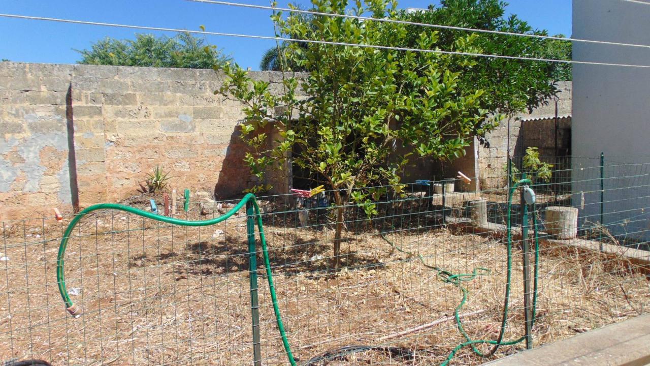 immagine annuncio 10 di 12