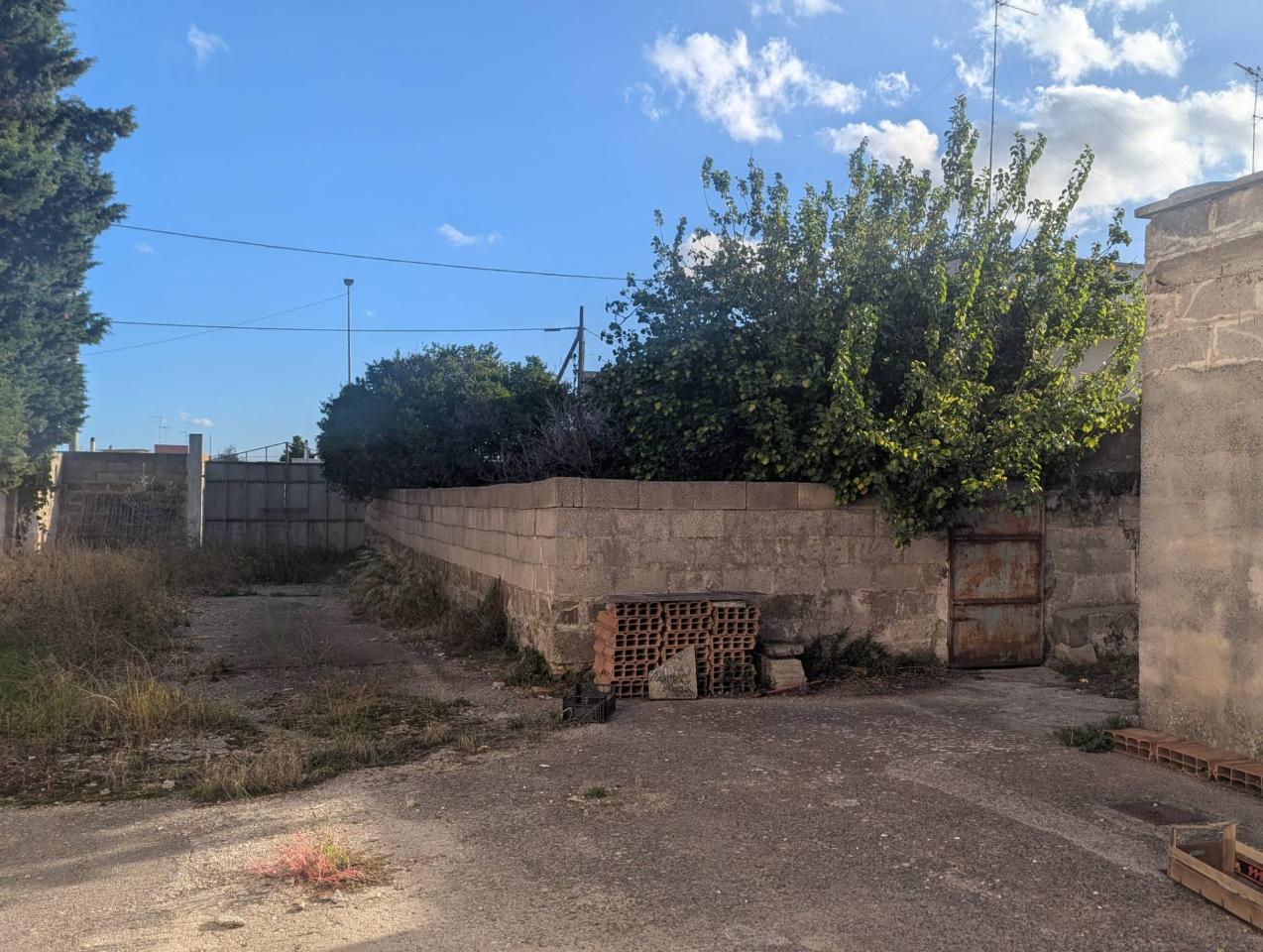 immagine annuncio 2 di 4