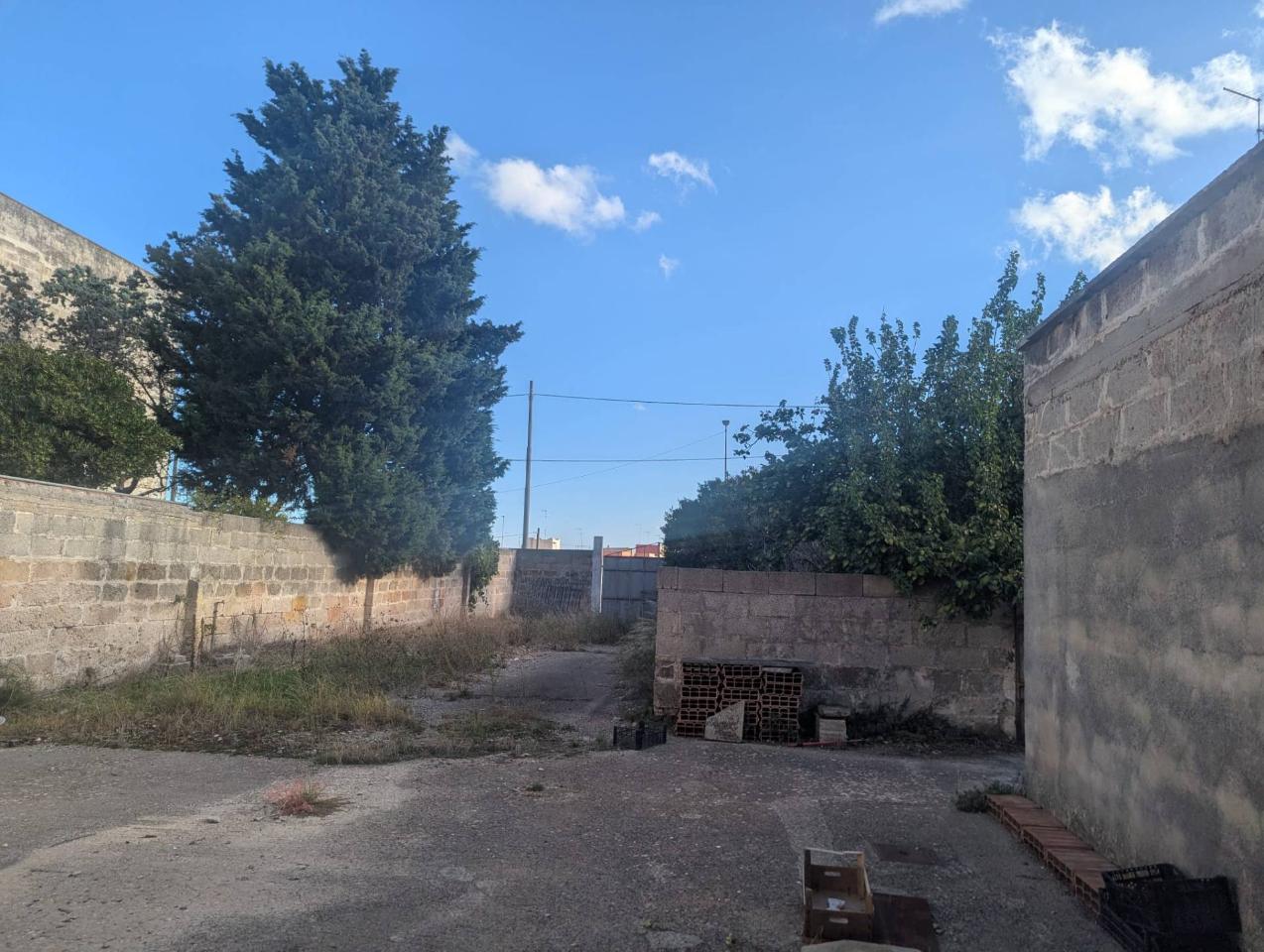 immagine annuncio 1 di 4