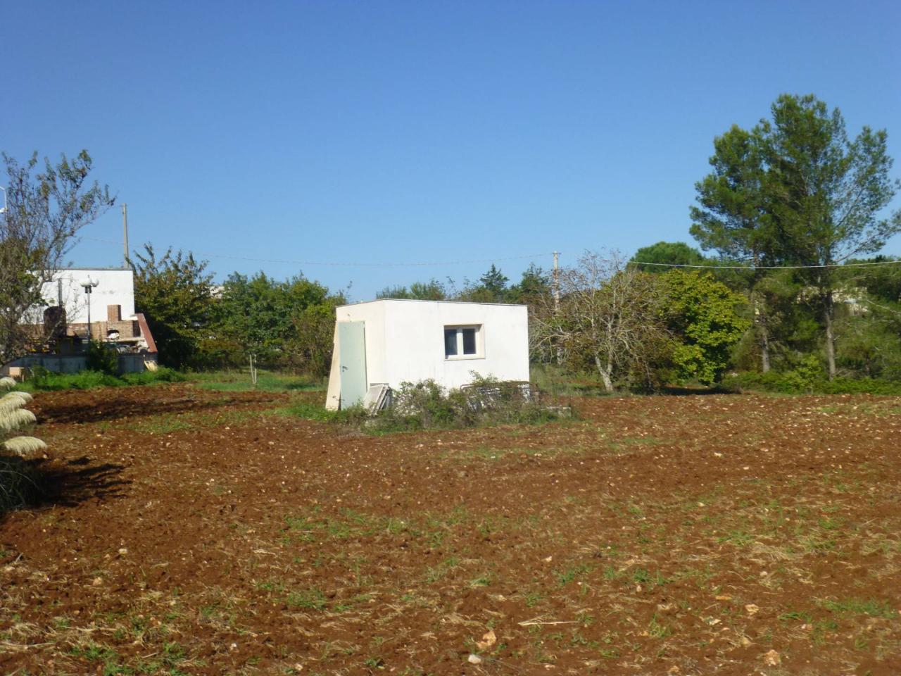 immagine annuncio 11 di 14