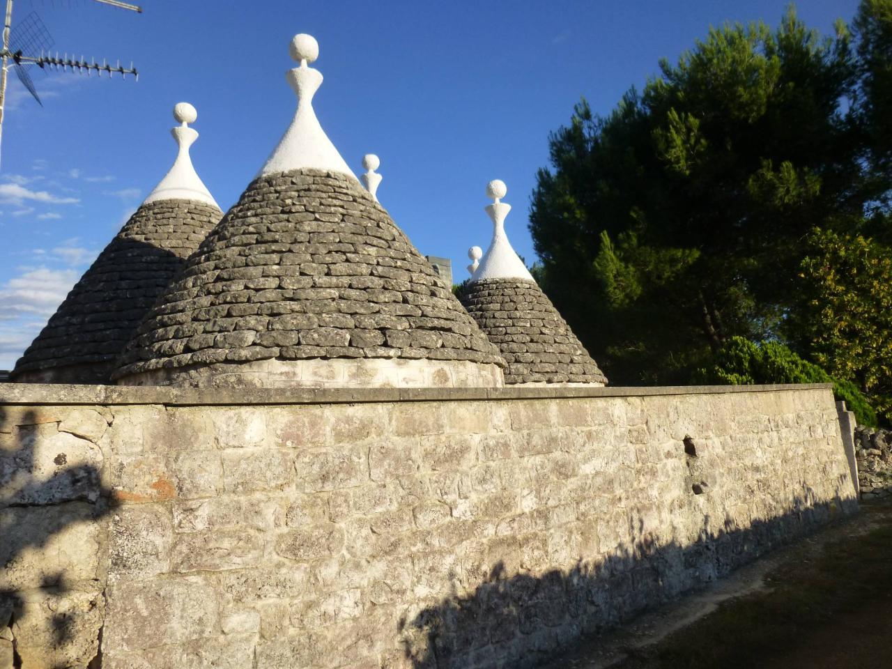 immagine annuncio 13 di 14