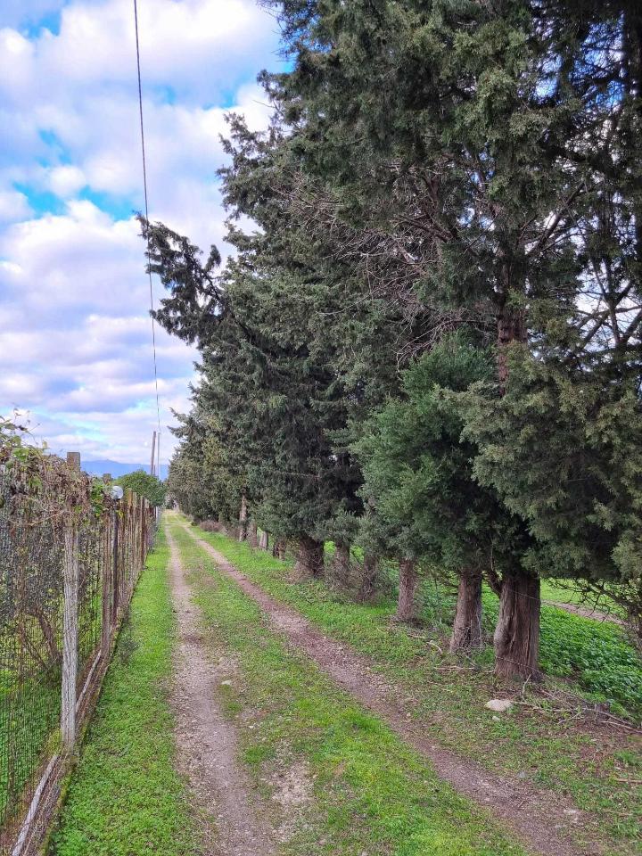 Terreno agricolo in vendita a Quartucciu