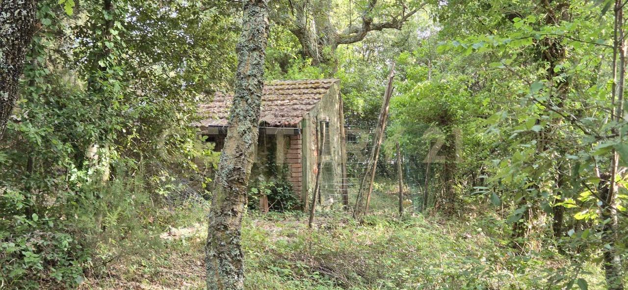 immagine annuncio 6 di 8