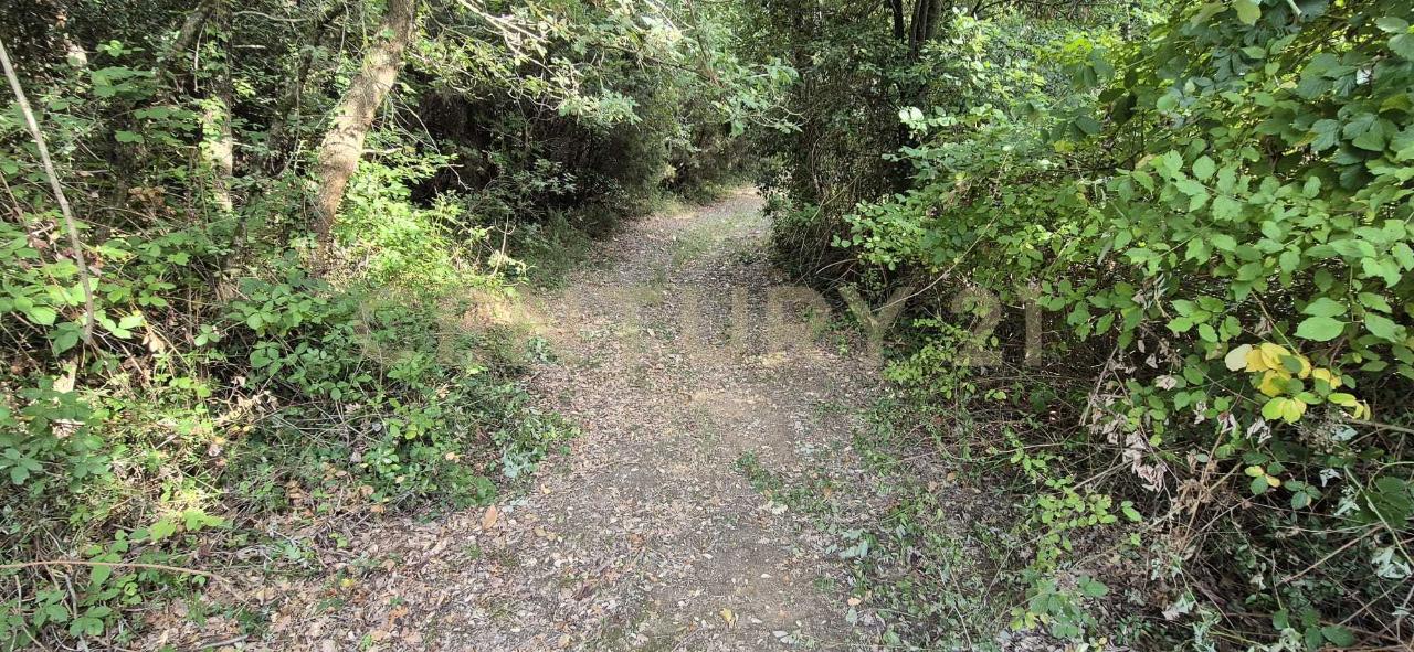 immagine annuncio 3 di 8