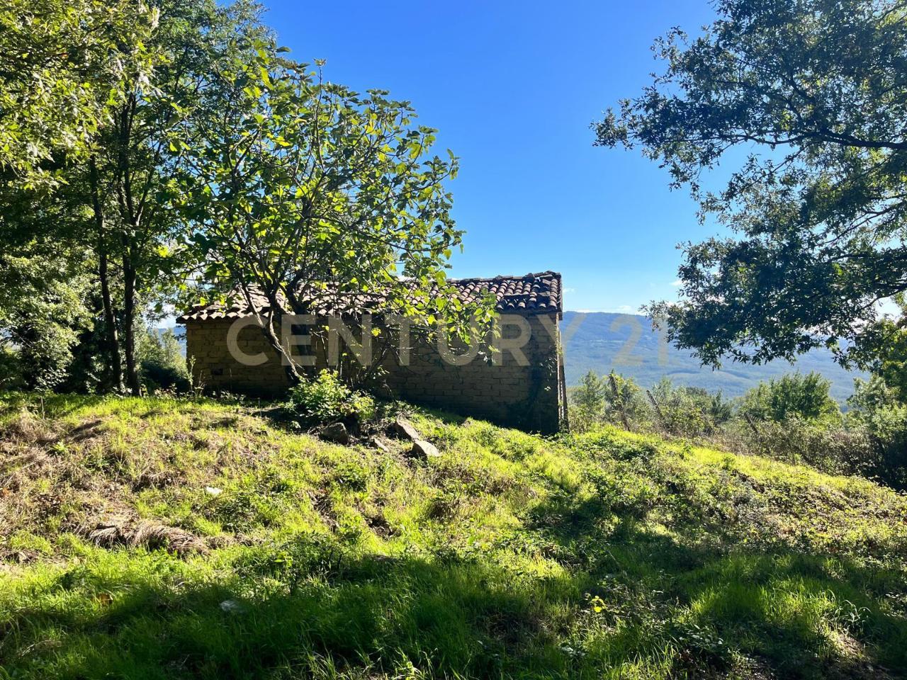 casa indipendente in vendita a Semproniano in zona Petricci