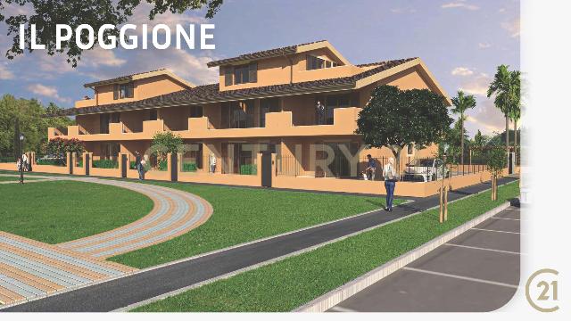 insertion image
