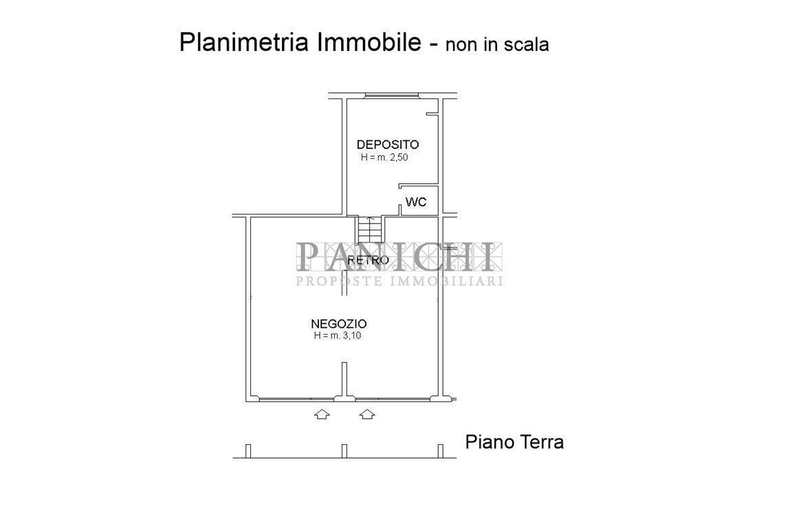 Negozio in , Asciano, {3} - Planimetria 1