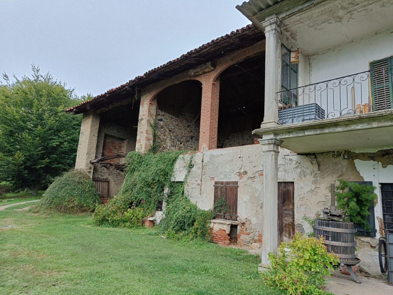 immagine annuncio 11 di 15