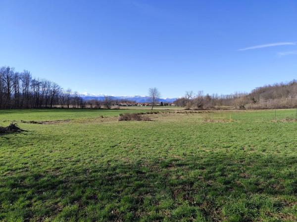 immagine annuncio 5 di 13