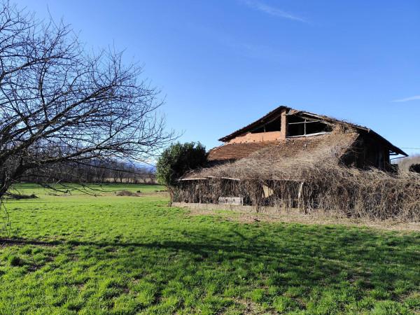 immagine annuncio 9 di 13