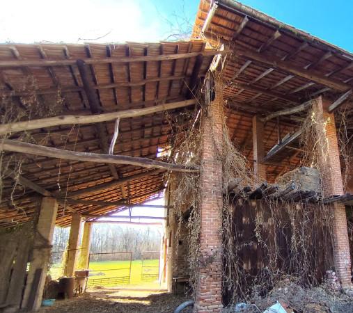 immagine annuncio 11 di 13