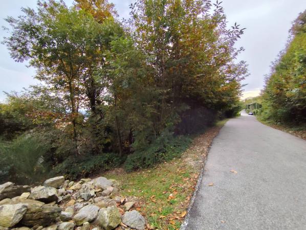 immagine annuncio 4 di 6