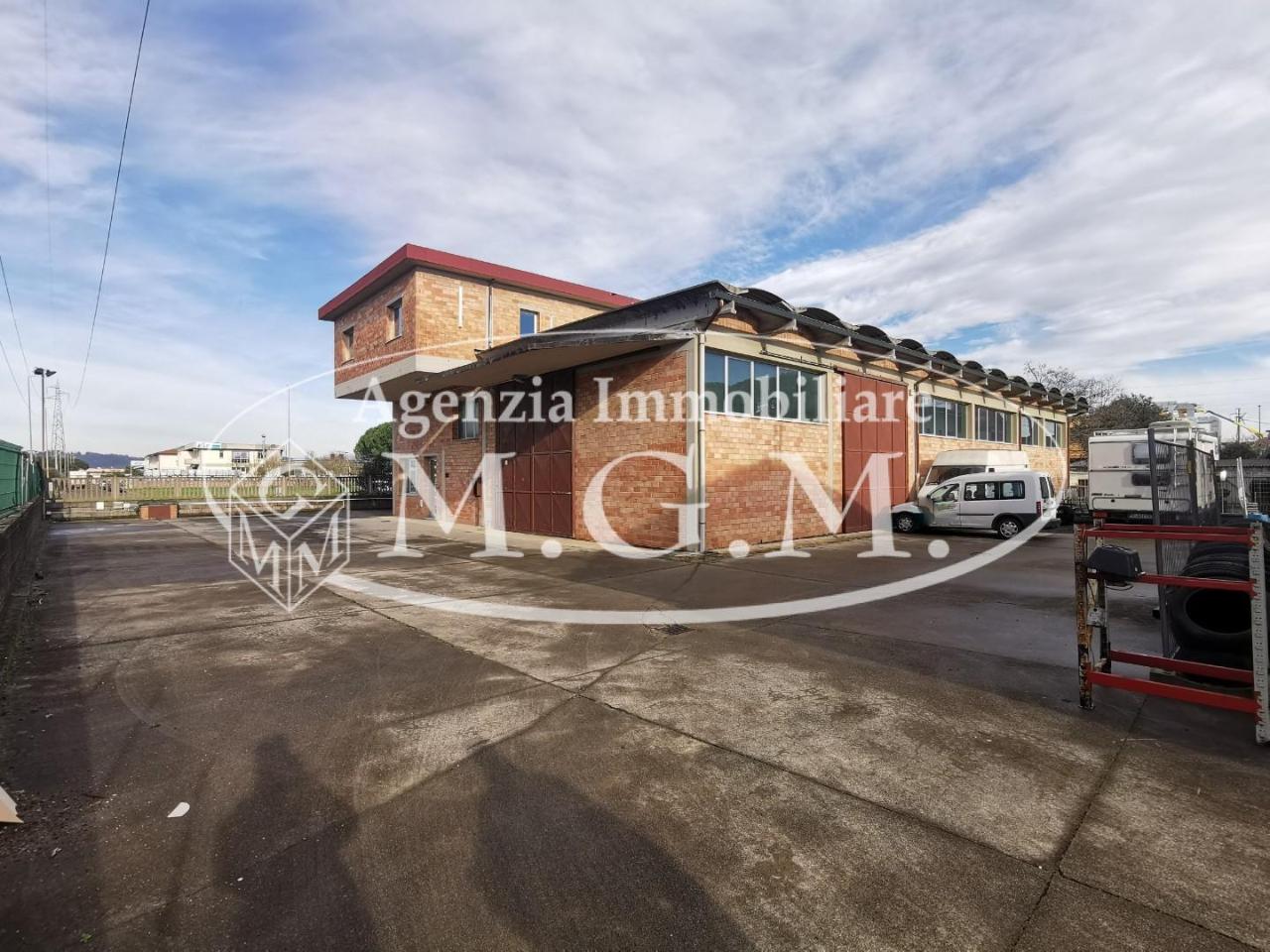 Capannone in , Castelfranco di Sotto, {3} - Foto 1