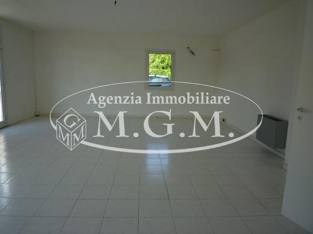insertion image