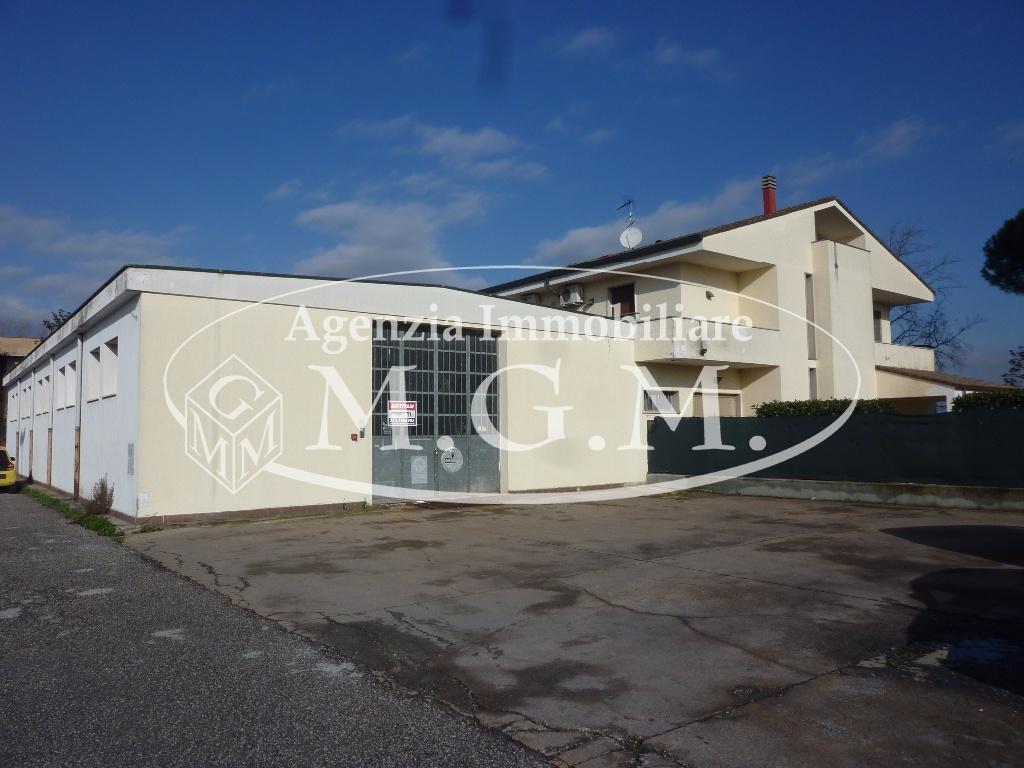 Capannone in , Pontedera, {3} - Foto 2