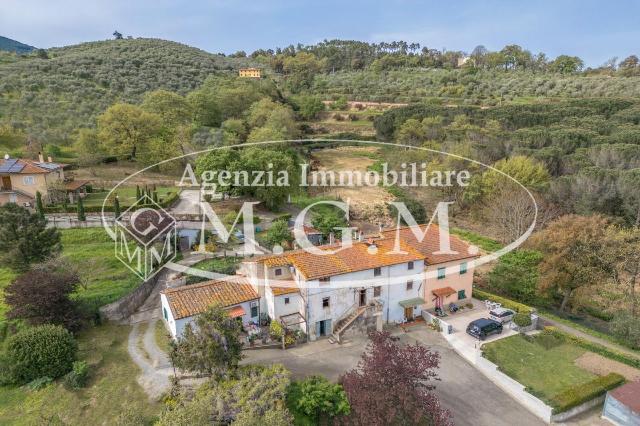 insertion image