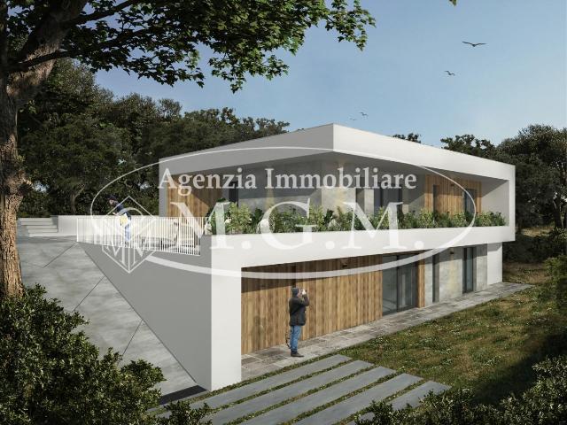 insertion image