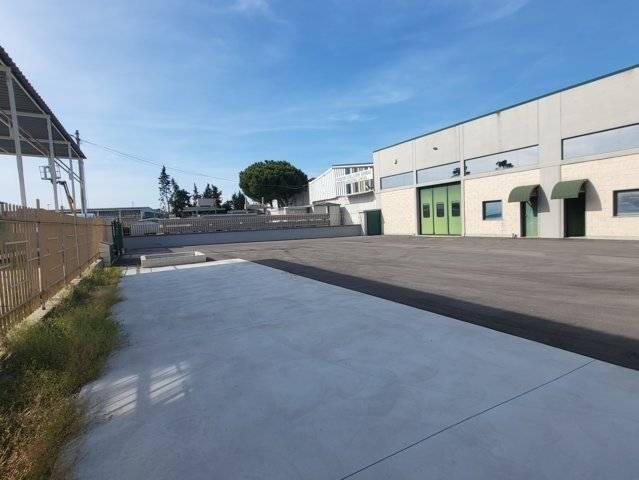 Capannone in Via Fosso Foreste, Montesilvano, {3} - Foto 2