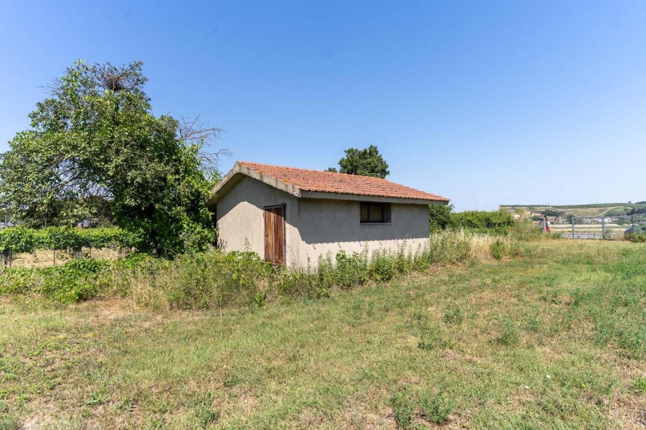 Terreno agricolo in vendita a Empoli