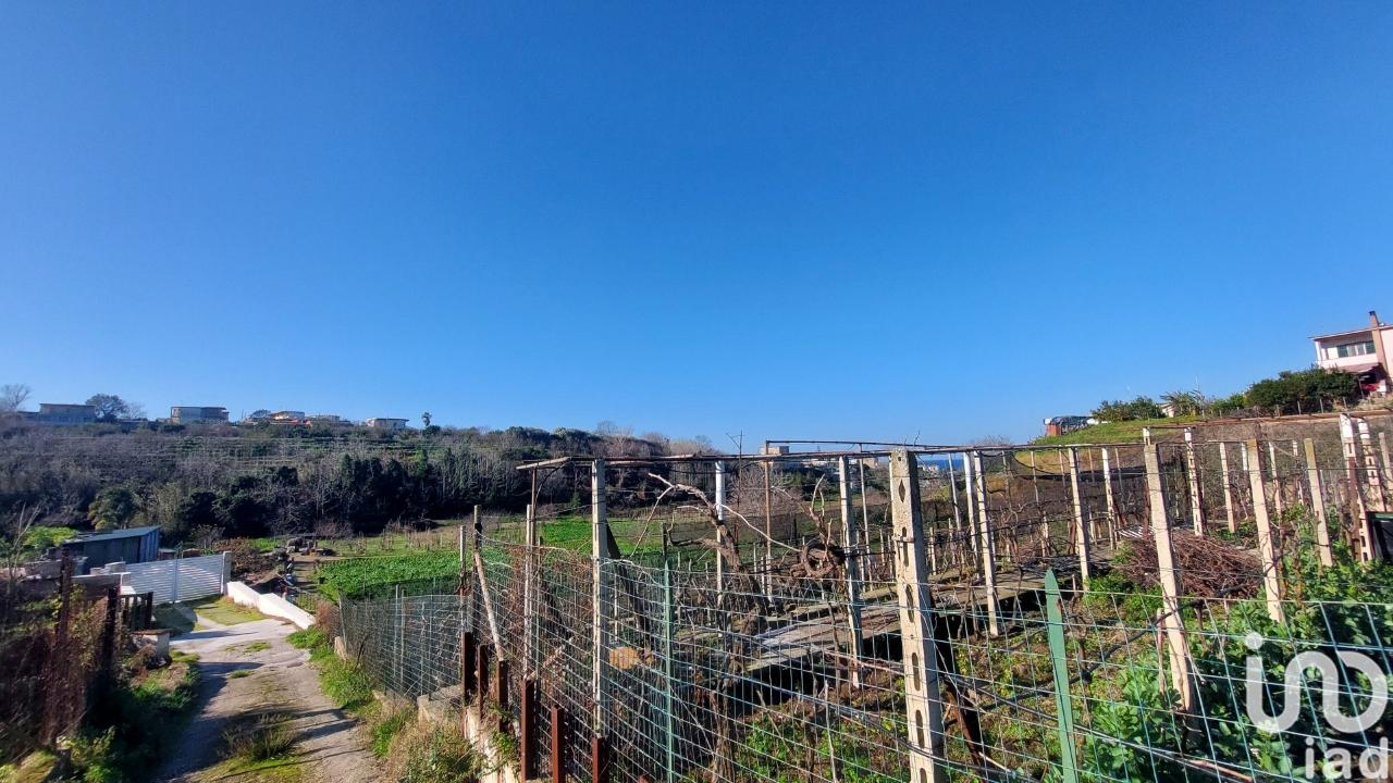 immagine annuncio 5 di 8