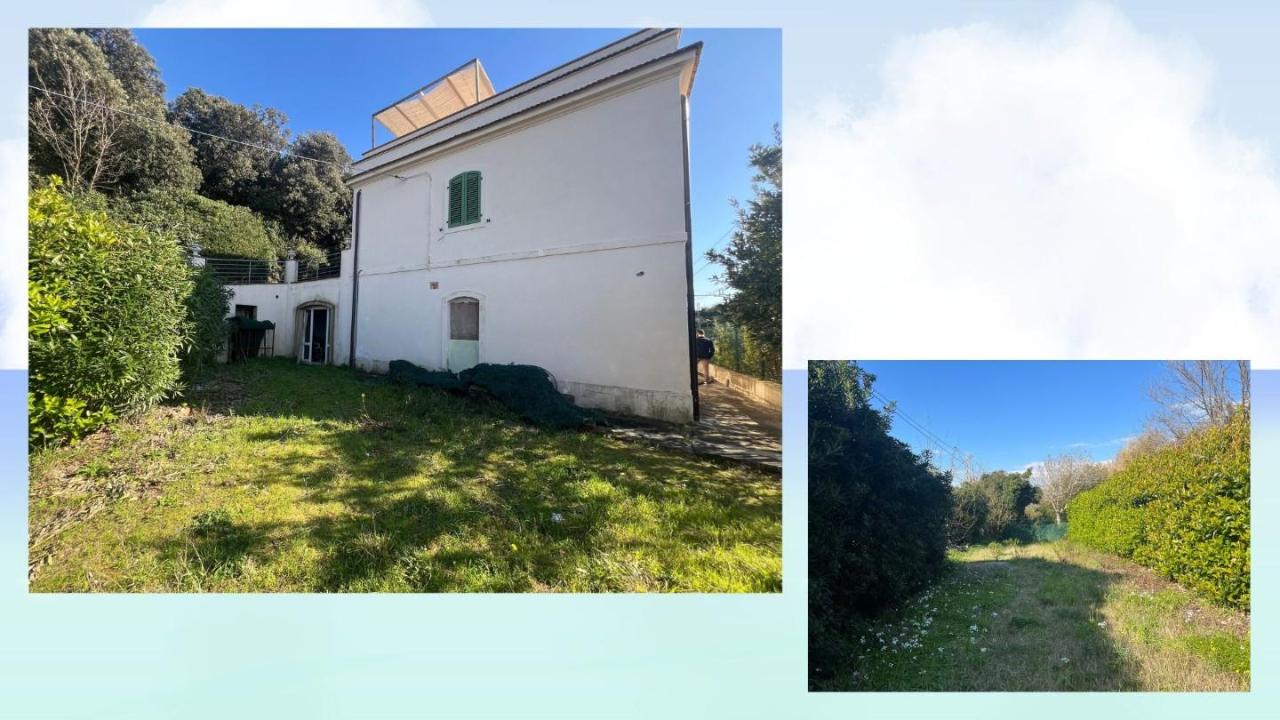 immagine annuncio 1 di 4