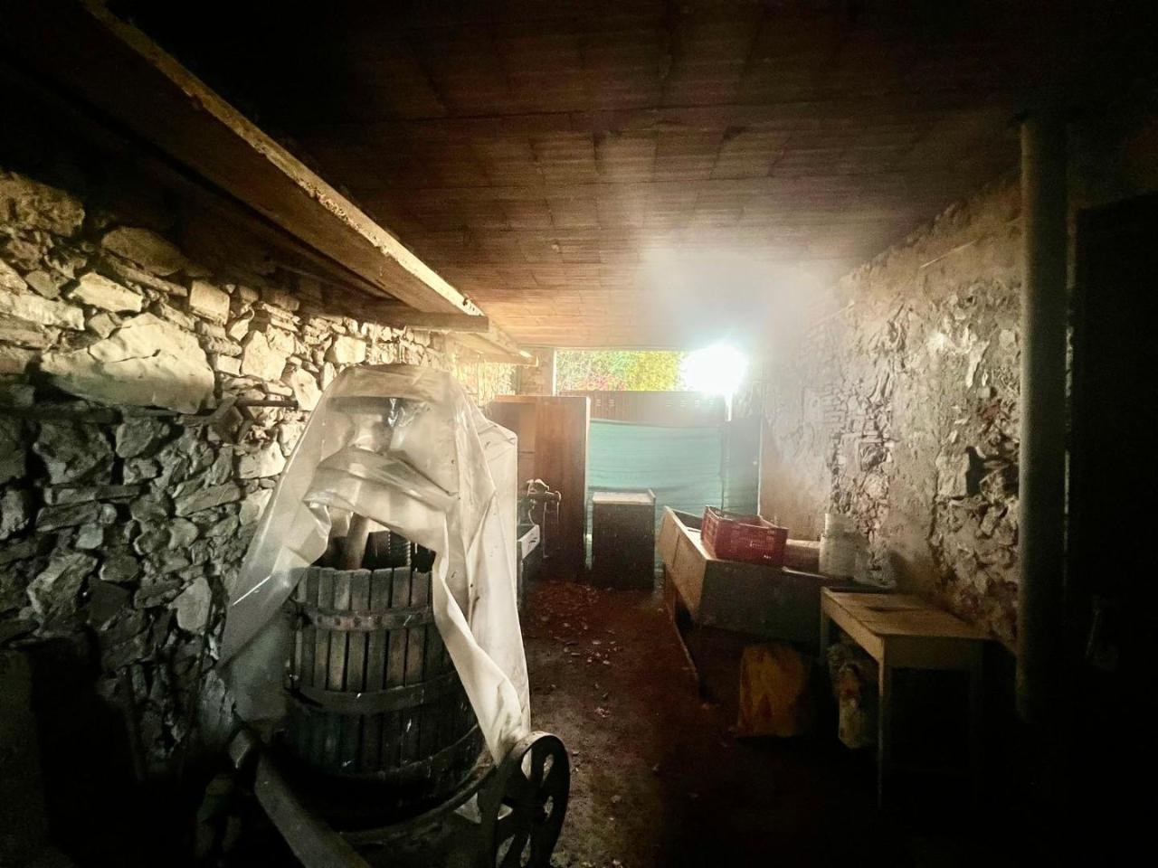 immagine annuncio 7 di 14