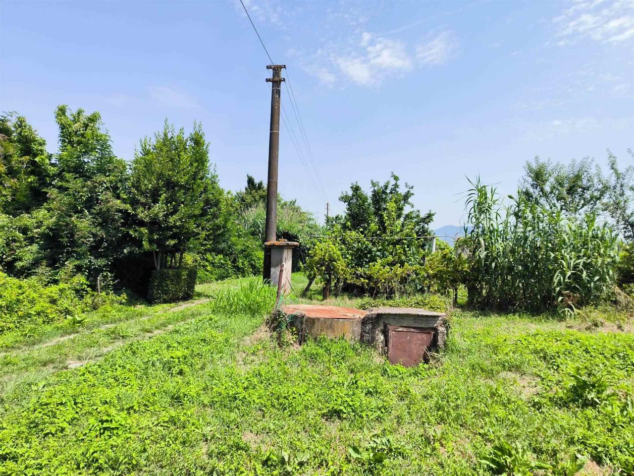 immagine annuncio 7 di 13