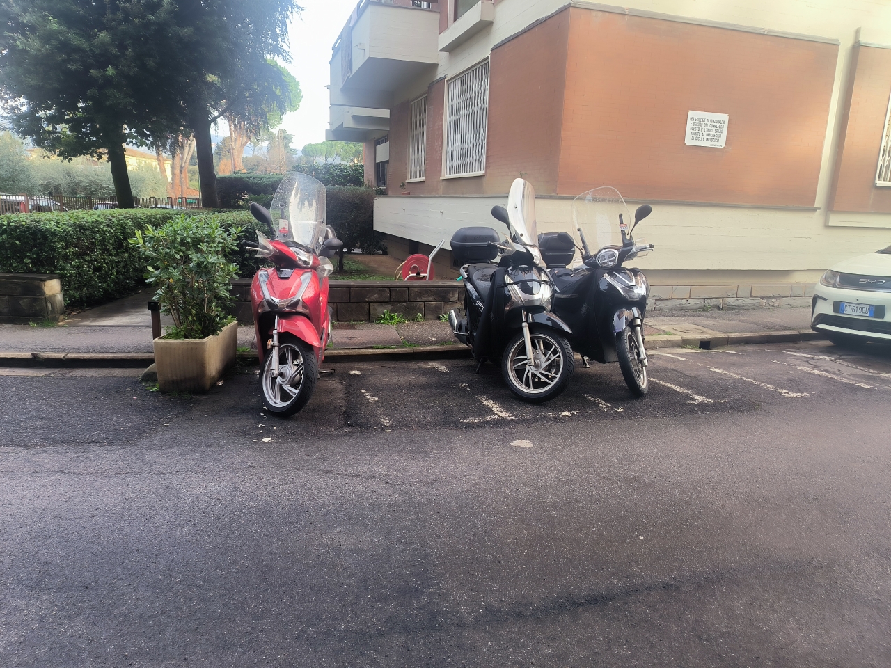 immagine annuncio 7 di 15