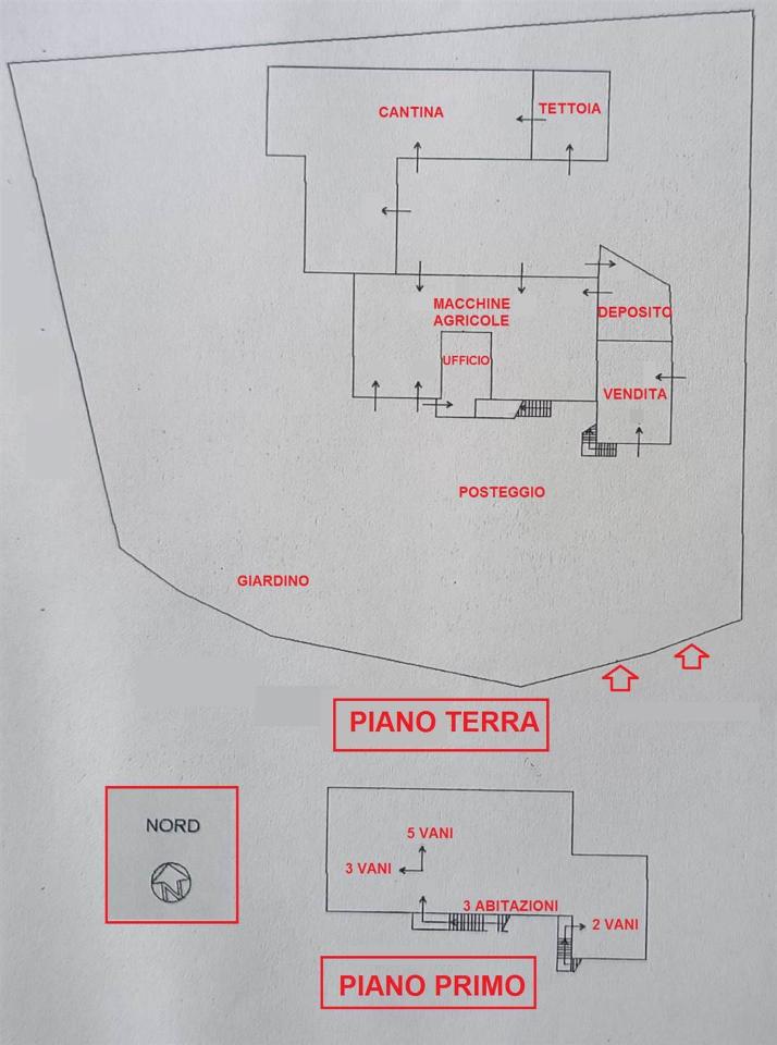 immagine annuncio 1 di 14
